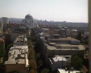 dsc00005.jpg